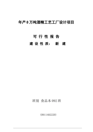 年产8万吨酒精工艺工厂设计项目