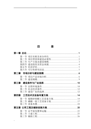 制酸及10万吨磷酸一铵项目可行性研究报告-