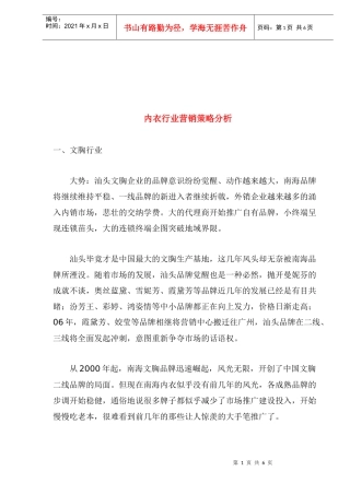 内衣行业营销策略分析