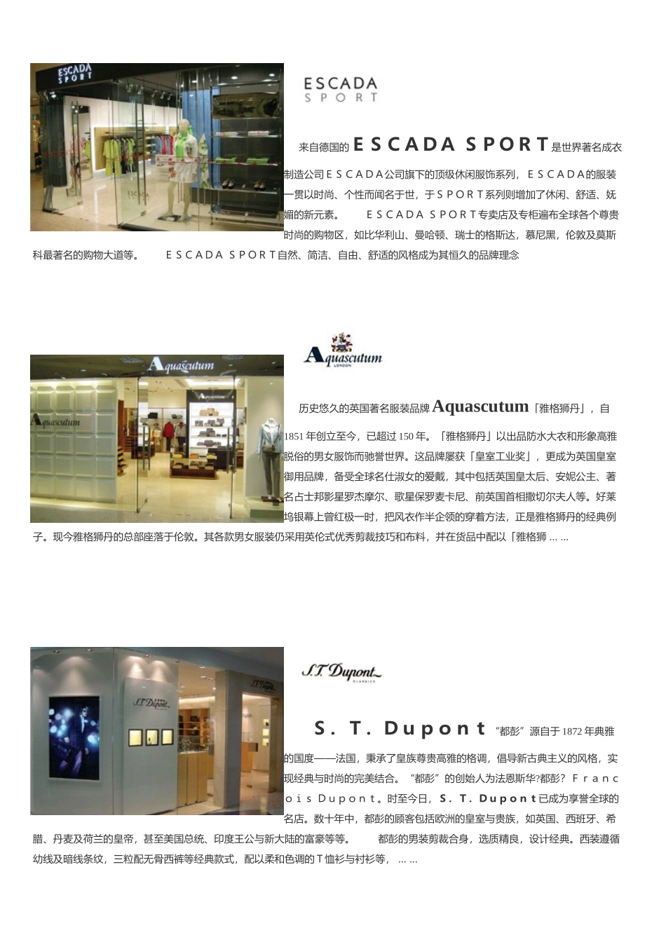 国际享誉盛名的服装品牌_第3页