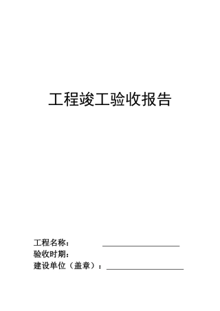 工程竣工验收报告化工版