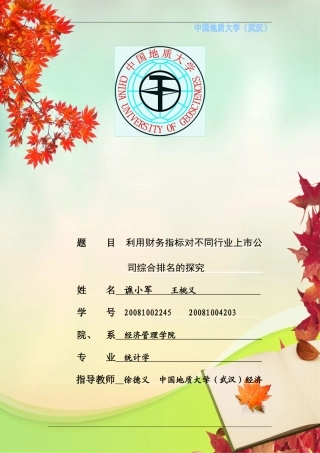 利用财务指标对不同行业上市公司综合排名的探究doc