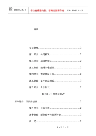 凯博尔电暖画商业计划书