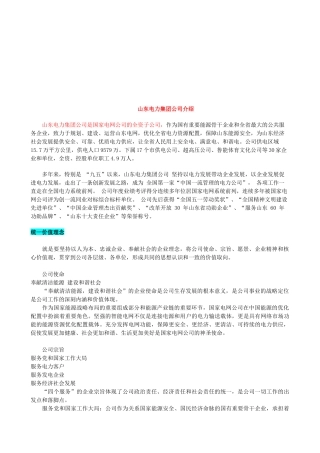 山东电力集团公司简要介绍