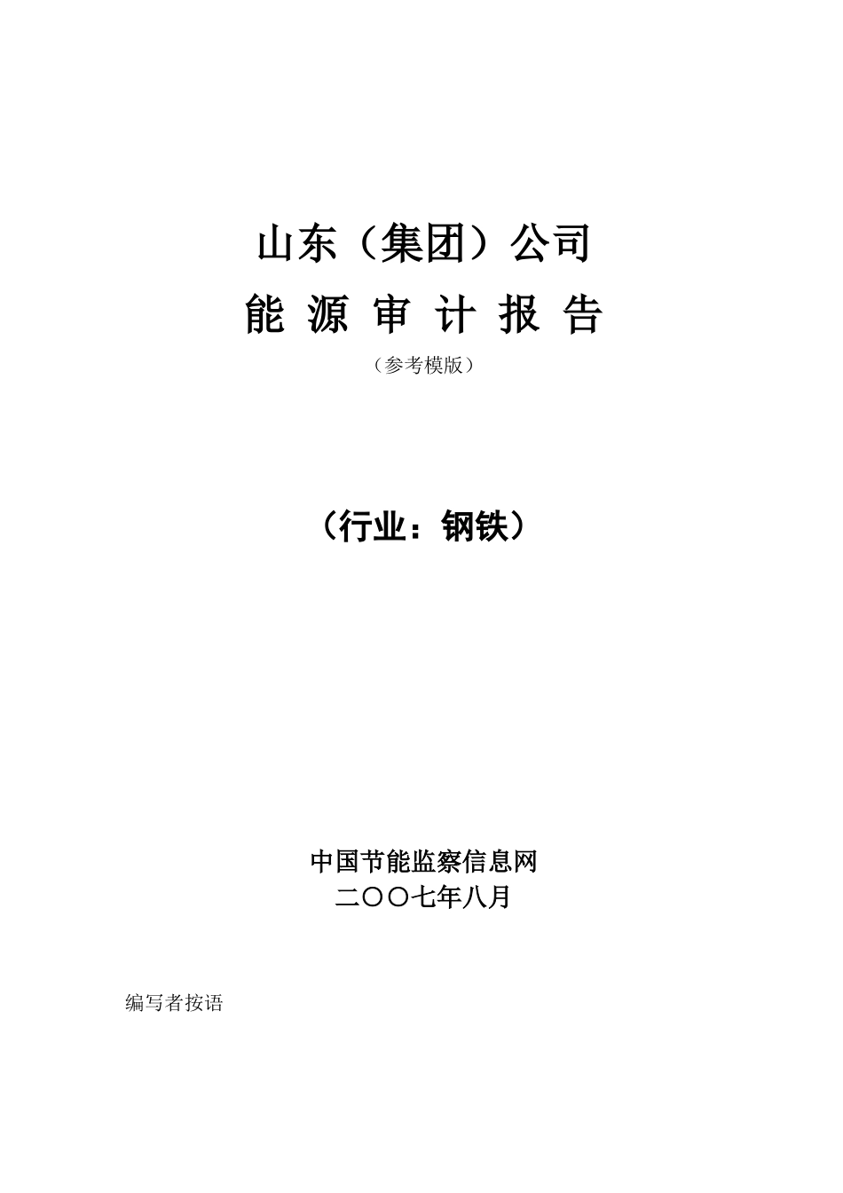 山东钢铁能源审计报告_第1页