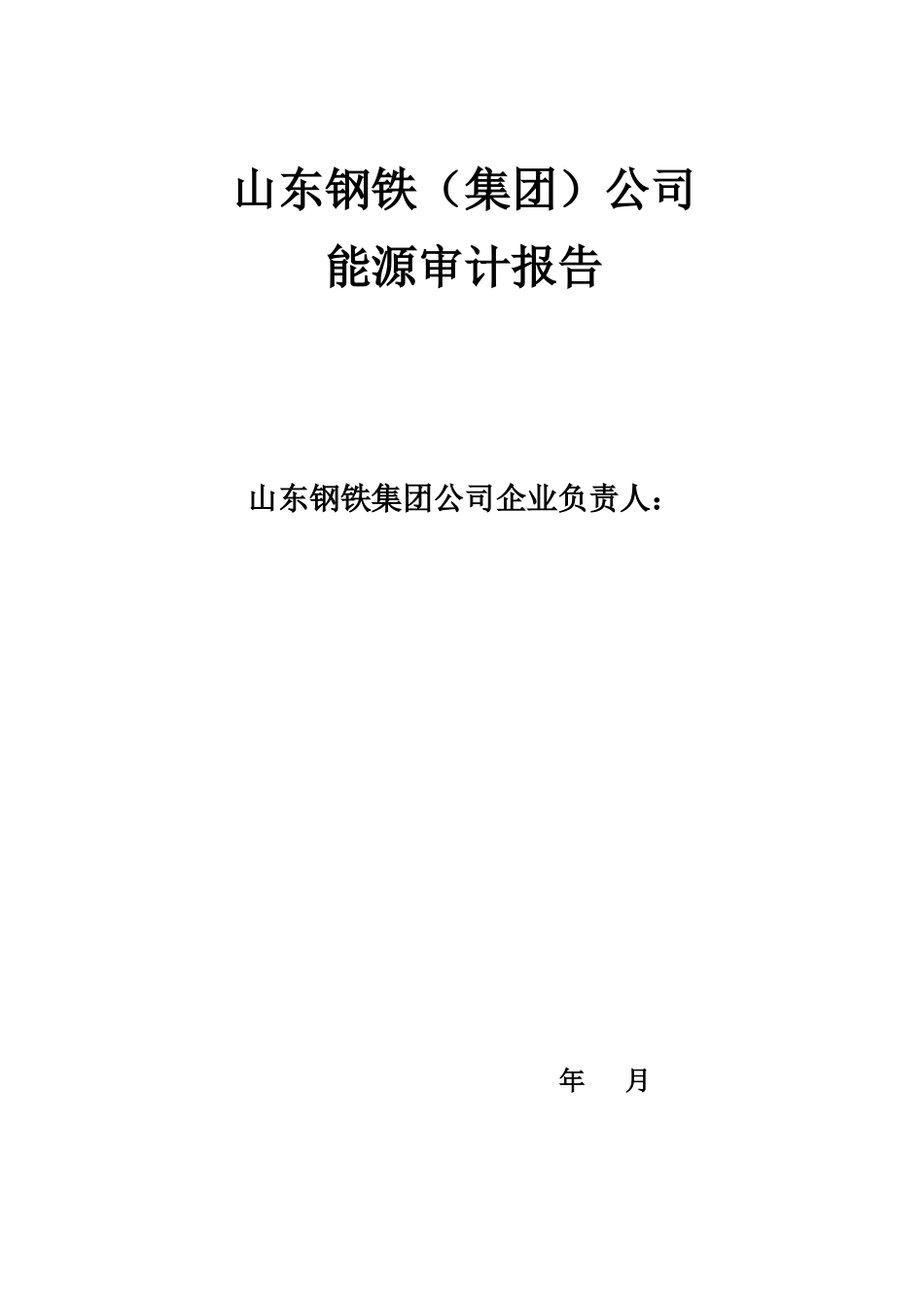 山东钢铁能源审计报告_第3页