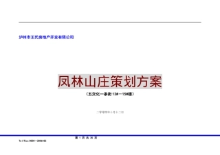 凤林山庄策划方案