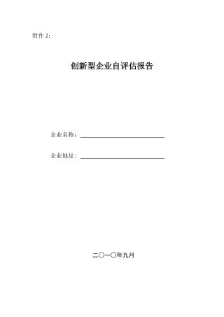创新型企业自评估报告范本