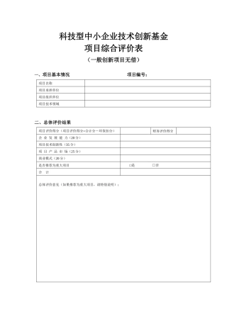 创新基金项目综合评价表