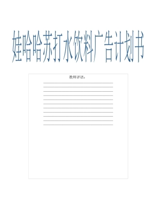 娃哈哈苏打水饮料广告计划书(21页)