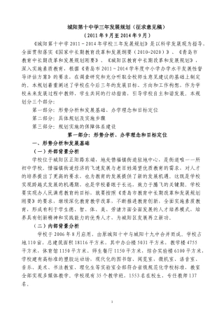 十中三年发展规划(-XXXX)