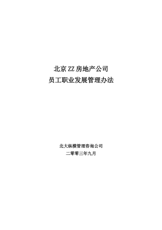 北京某房地产公司员工职业发展管理制度
