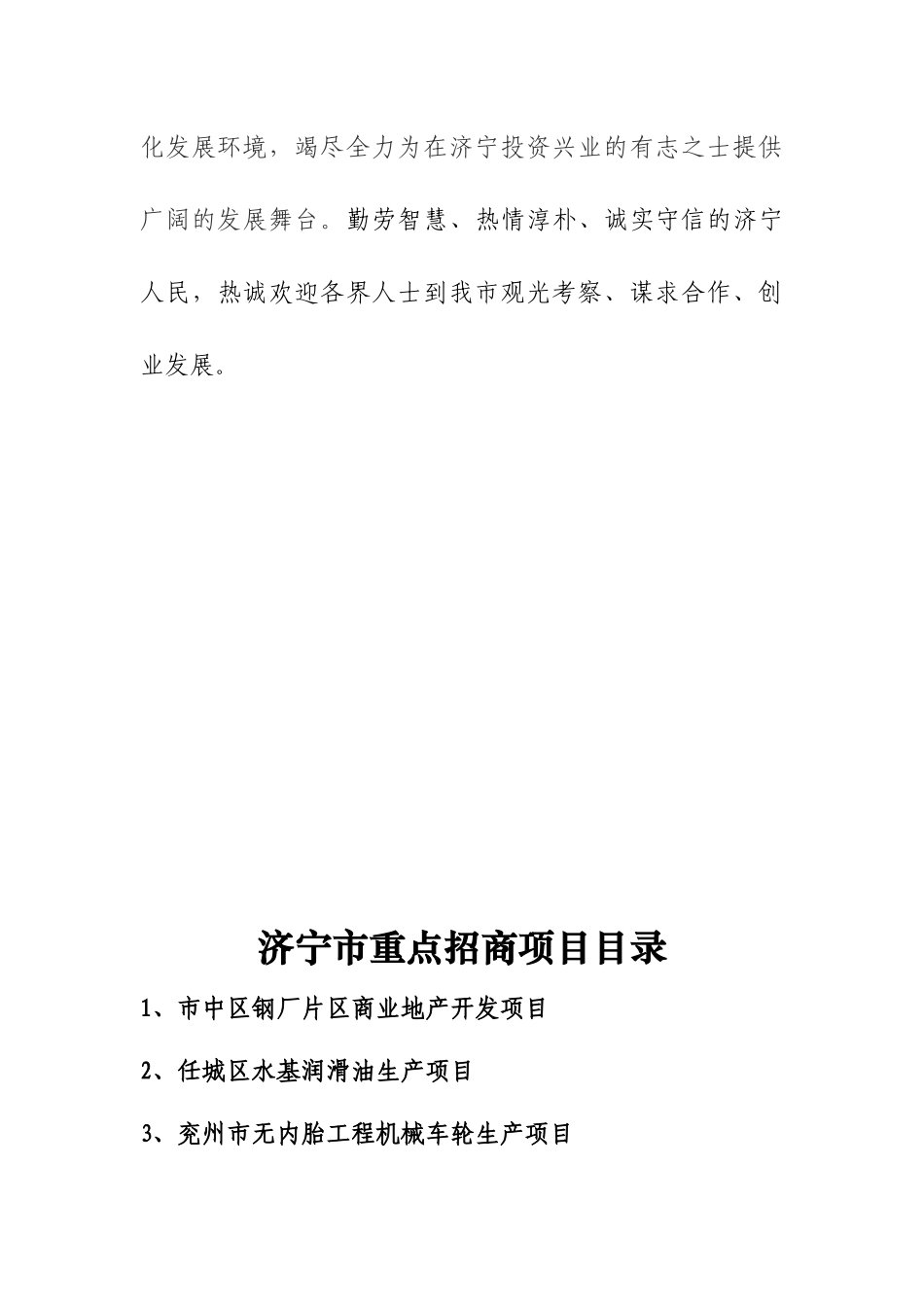 市中区钢厂片区商业地产开发项目_第3页