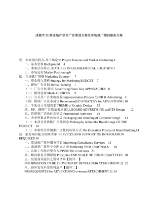 成都商业地产项目广告策划