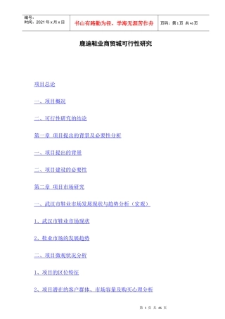 华中鞋业商贸城建设项目可行性研究