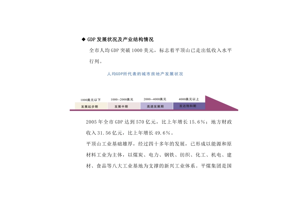 平顶山光明路地产项目分析策划报告_143页_第3页