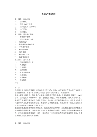 商业地产策划范例