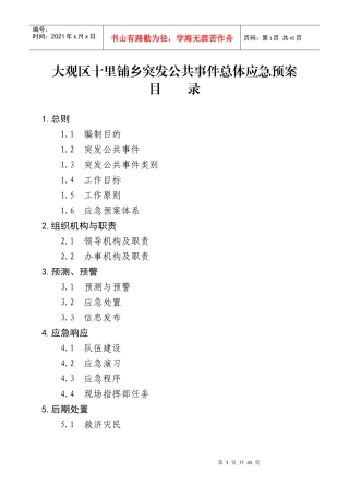 十里铺乡政府突发公共事件总体应急预案doc-大观区人民政
