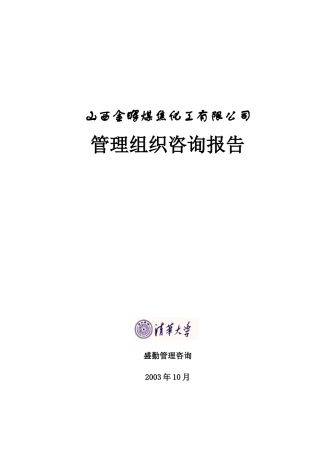 山西金晖煤焦化工—管理组织咨询报告