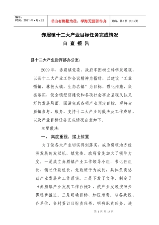 十二大八大产业工作总结