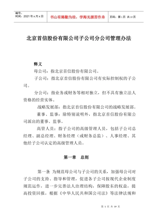 北京某公司下属公司管理办法