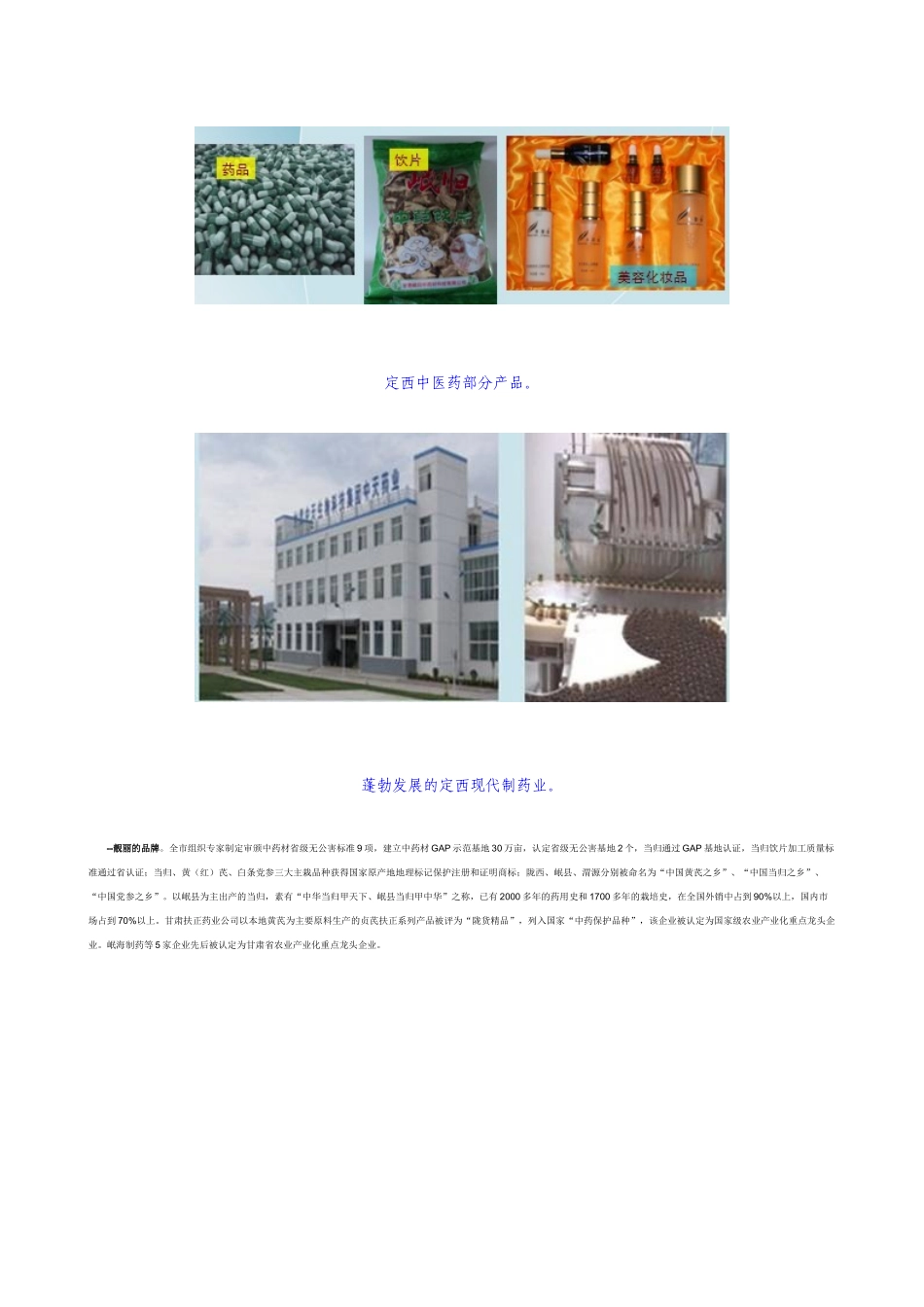 定西中医药产业迎来科学发展的春天(修改XXXX9)_第2页