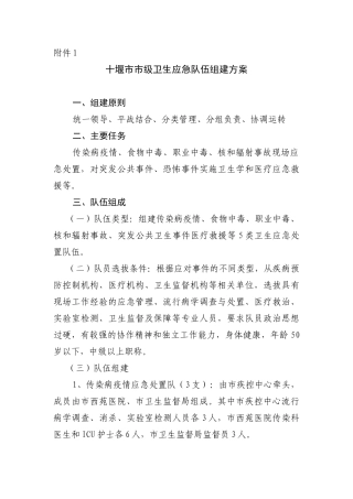 十堰市市级卫生应急队伍组建方案