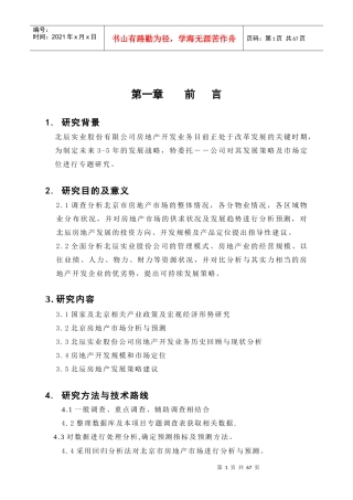 北京北辰集团发展战略报告