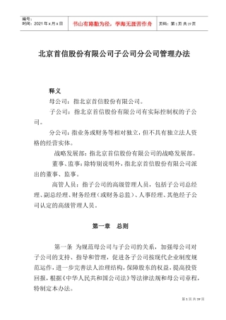 北京某某公司下属公司管理办法