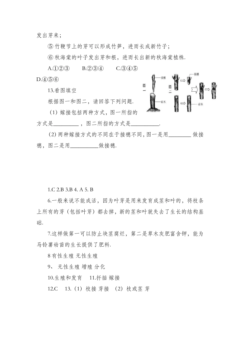 第一节植物的生殖 生物教学教案设计_第3页