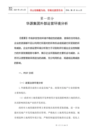 华源集团战略分析