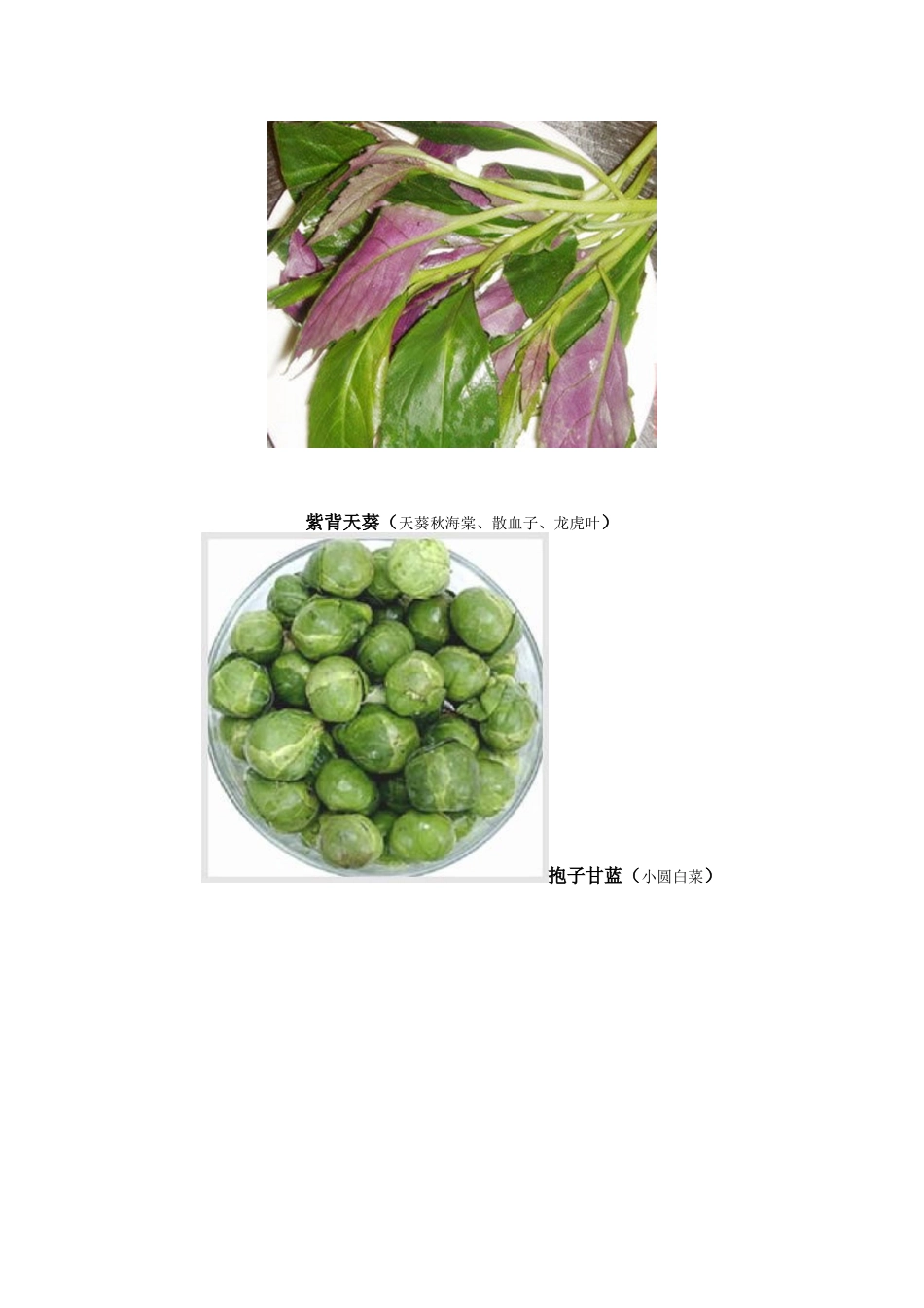 厨房食材大全组图(一)_第2页