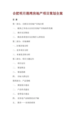 合肥某房地产公司项目策划分析全案
