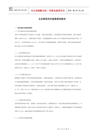 北京路某项目提案策划报告及建议