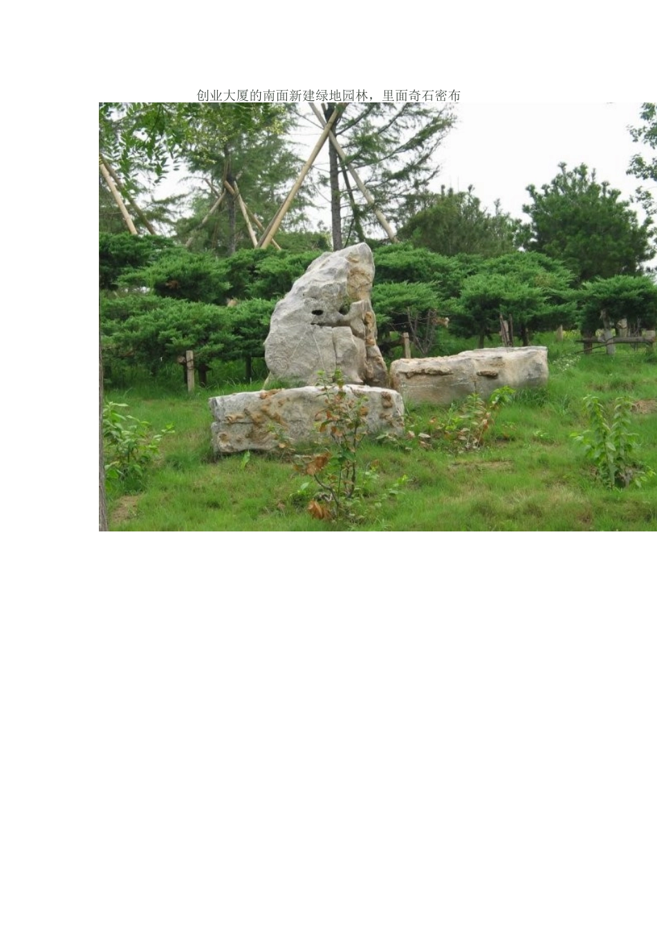 幕墙工程设计常识_第3页