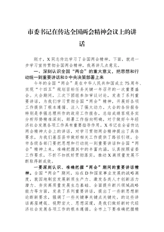 市委书记在传达全国两会精神会议上的讲话