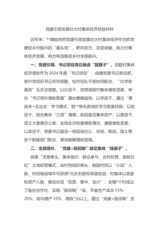 党建引领发展壮大村集体经济经验材料