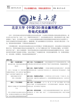 北京大学中国CEO商业赢利模式