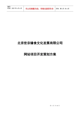 北京某文化发展公司网站项目开发策划方案