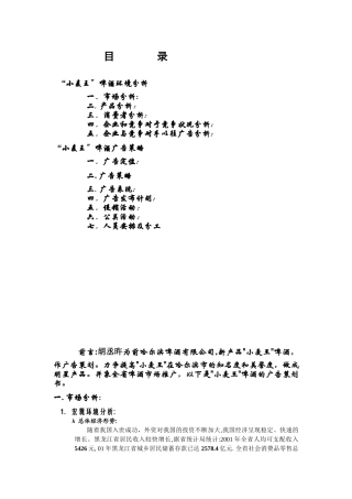 小麦王啤酒策划方案
