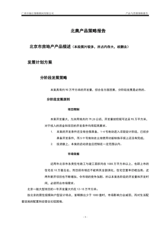 北奥产品策略报告