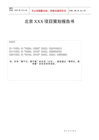 北京XXX项目策划报告书