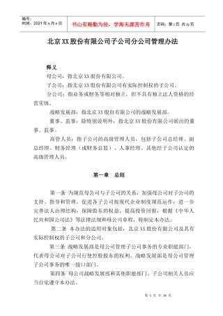 北京某股份公司子公司分公司管理办法