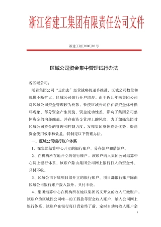 区域公司资金集中管理试行办法