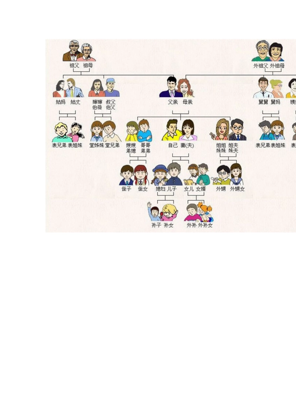 堂姊妹和表姊妹的概念_第3页