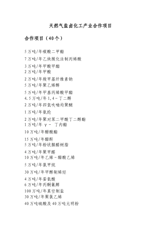 天然气盐卤化工产业合作项目