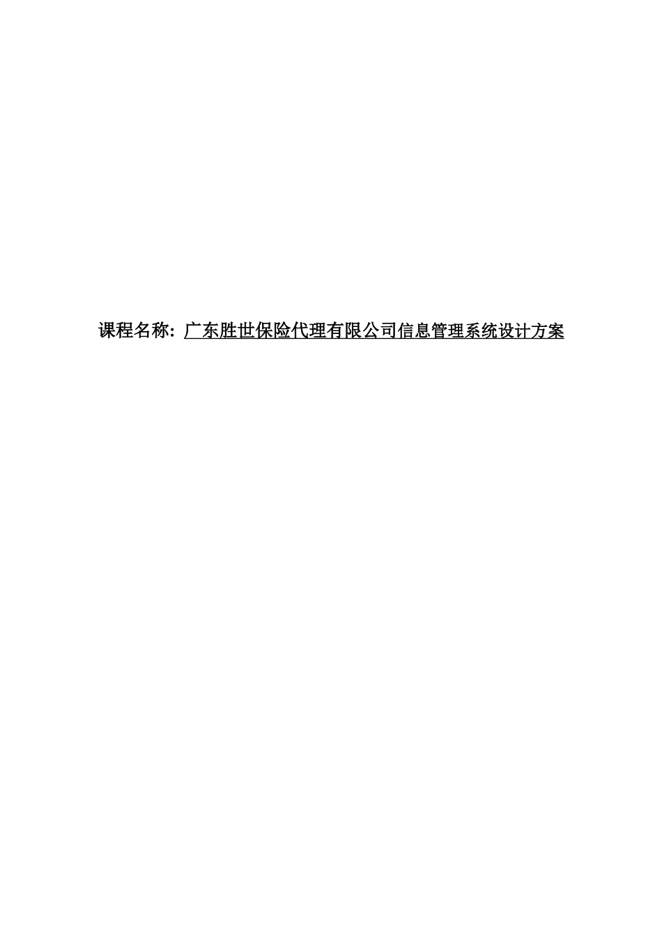 广东胜世保险代理有限公司信息管理系统设计方案_第1页