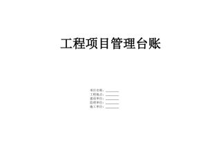 工程台账(31页)