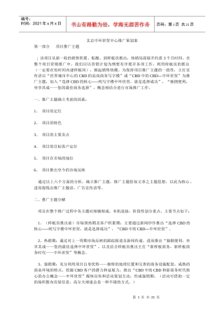 北京中环世贸中心推广策划方案