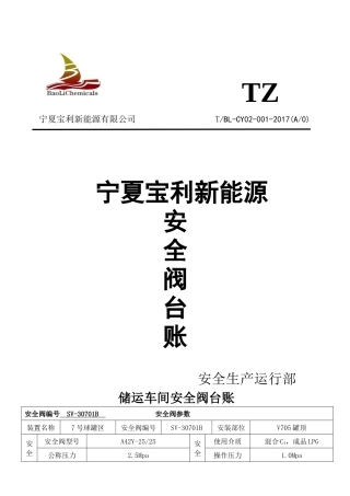 宝利新能源安全阀台账(1)